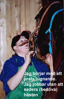 Sköljning